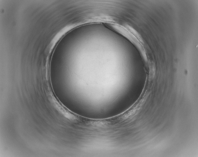 X0000058801246200510211831