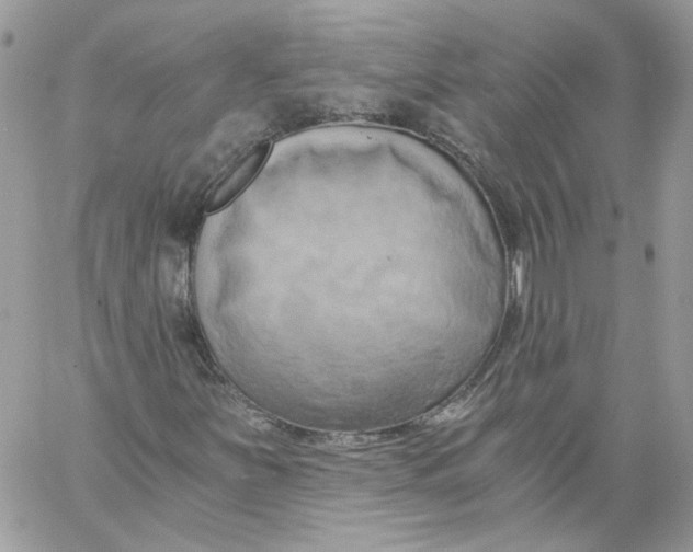 X0000058801251200510211830