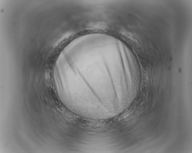 X0000058801254200510211830