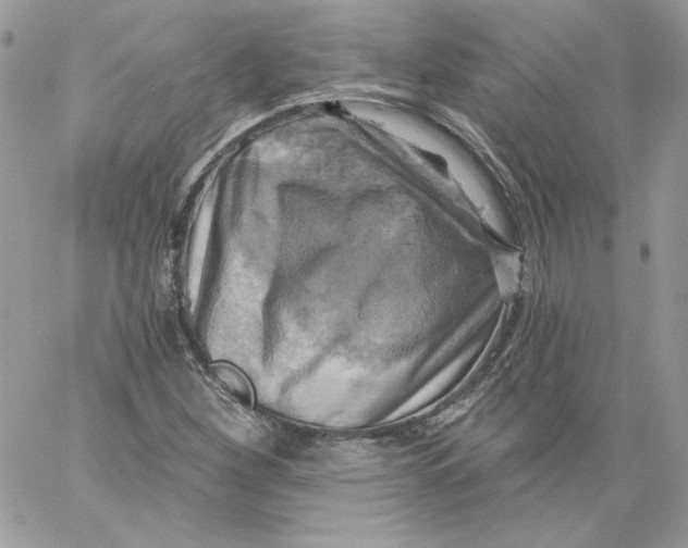 X0000058801260200510211830