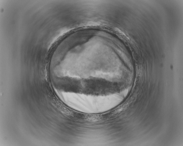 X0000058801262200510211830