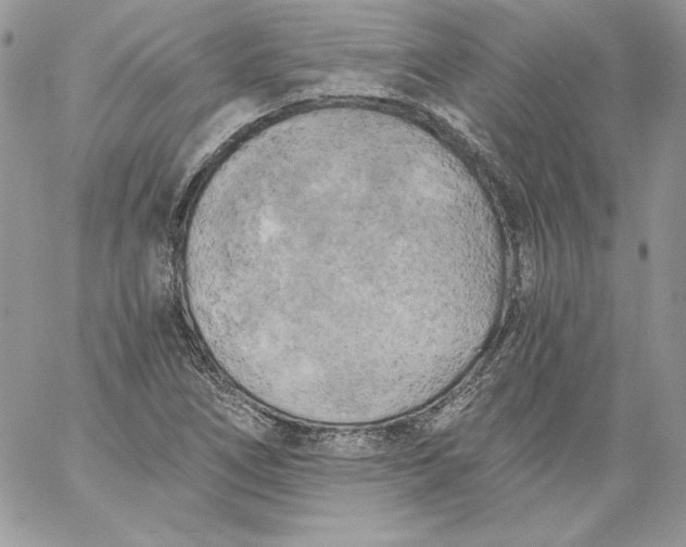 X0000058801266200510211830