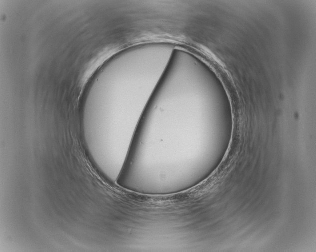 X0000058801269200510211830