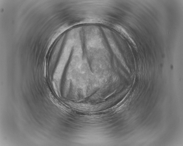 X0000058801276200510211830