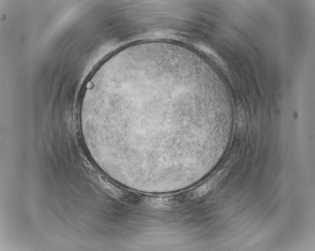X0000058801278200510211830