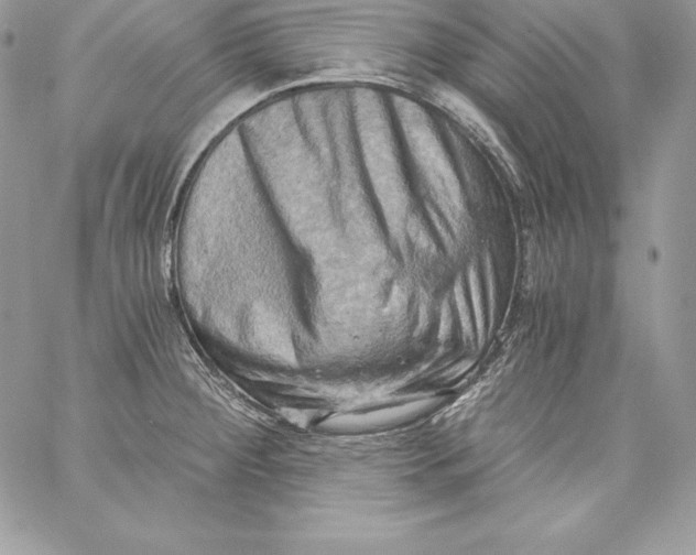 X0000058801284200510211830