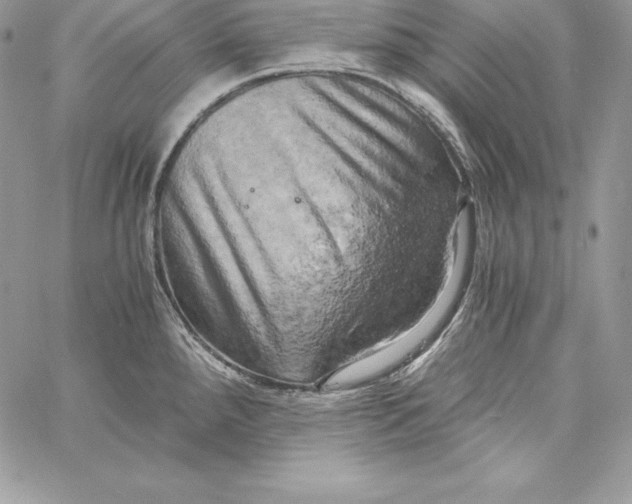X0000058801288200510211830