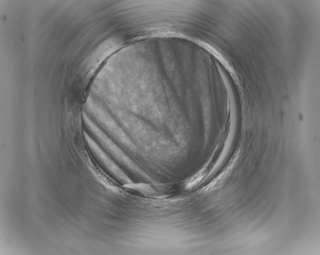 X0000058801289200510211830