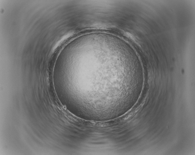 X0000058801307200510211829