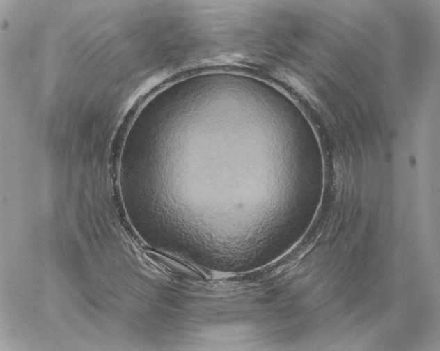 X0000058801308200510211829