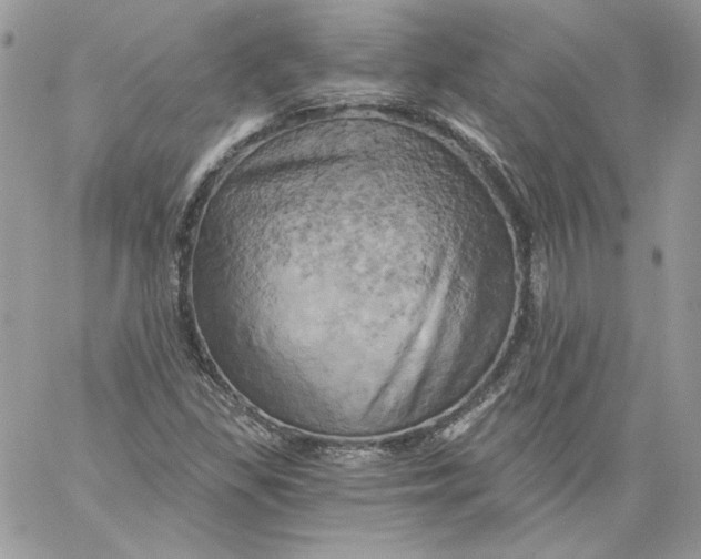 X0000058801309200510211829