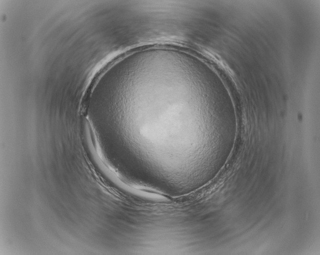 X0000058801316200510211829