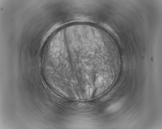 X0000058801318200510211829