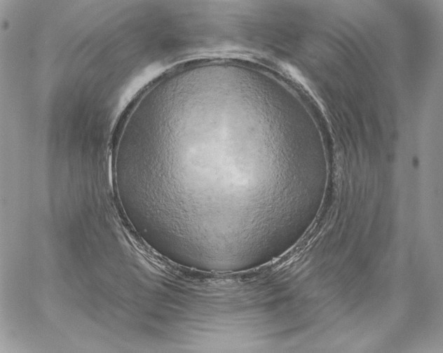 X0000058801320200510211829