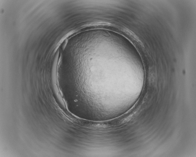 X0000058801321200510211829