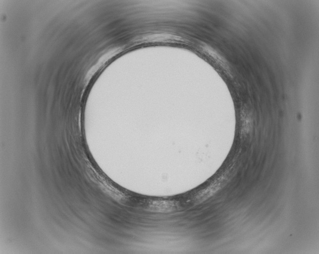 X0000058801322200510211829