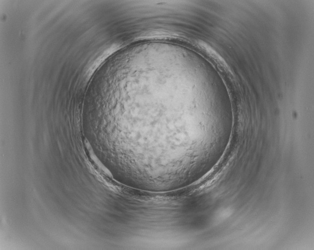 X0000058801329200510211829