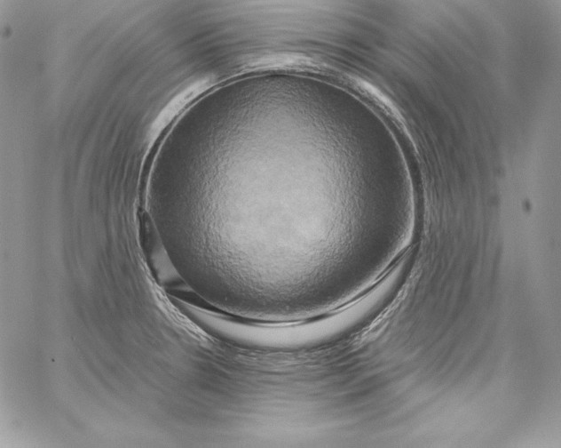 X0000058801330200510211829