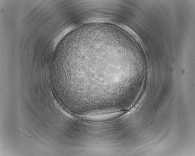 X0000058801337200510211829