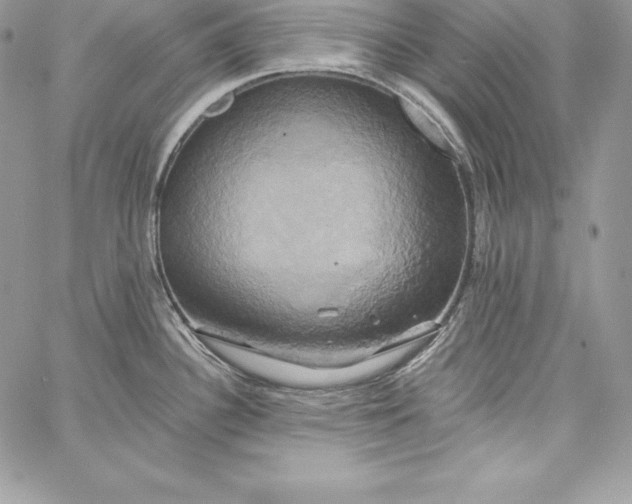 X0000058801340200510211829