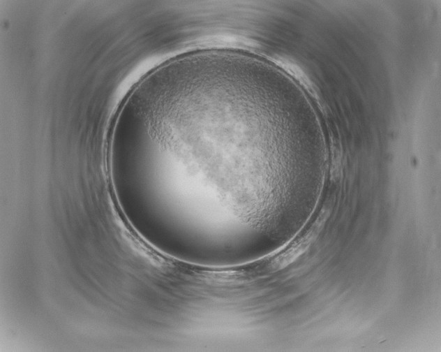 X0000058801342200510211829