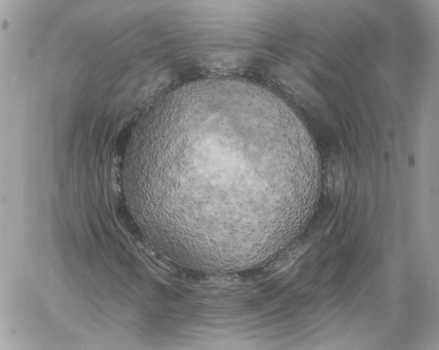 X0000058801346200510211829