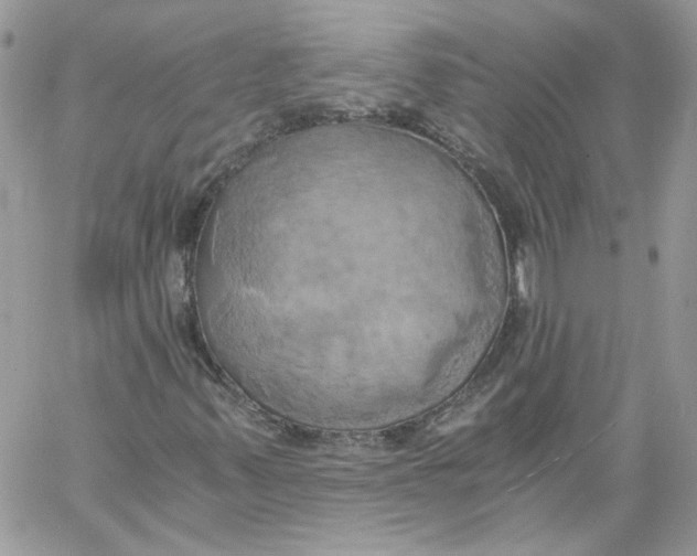 X0000058801347200510211829