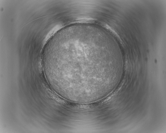 X0000058801362200510211828