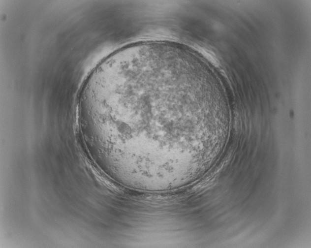 X0000058801366200510211828