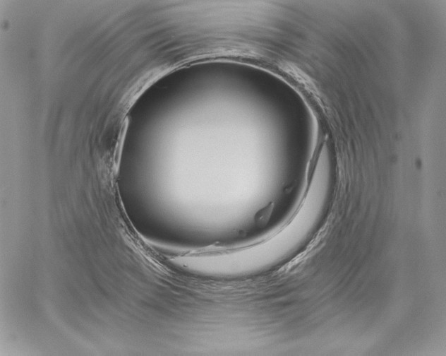 X0000058801369200510211828