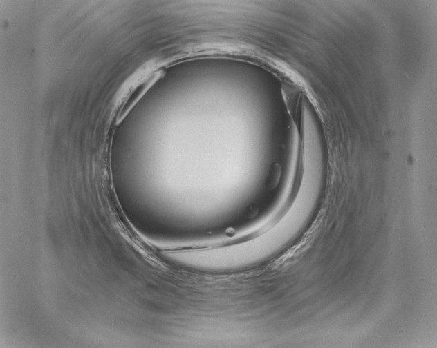 X0000058801373200510211828
