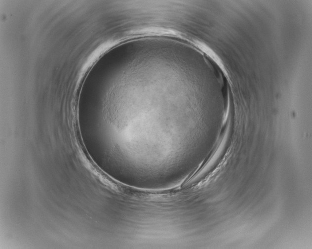 X0000058801381200510211828