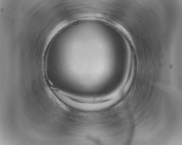 X0000058801384200510211828