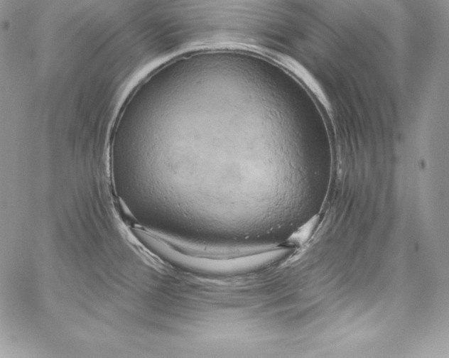 X0000058801388200510211828