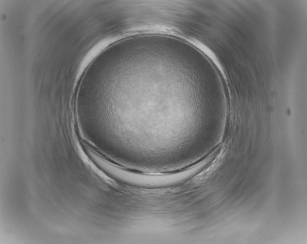 X0000058801389200510211828