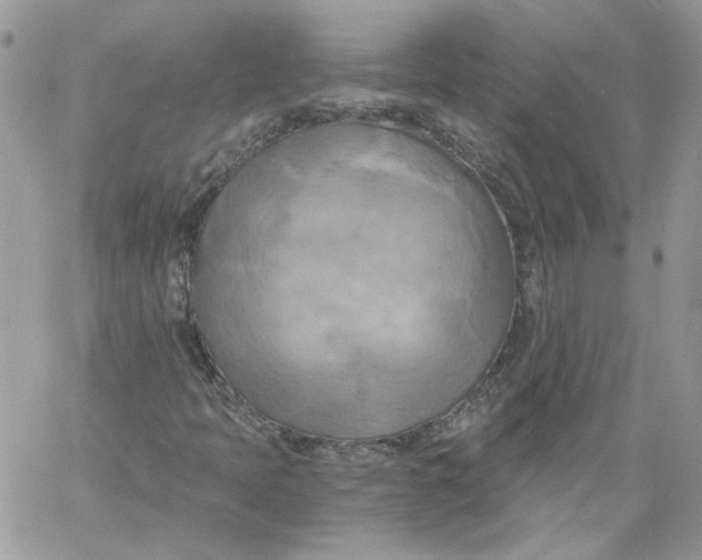 X0000058801397200510211827