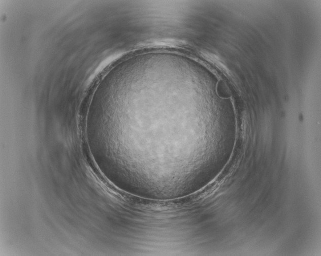 X0000058801404200510211827