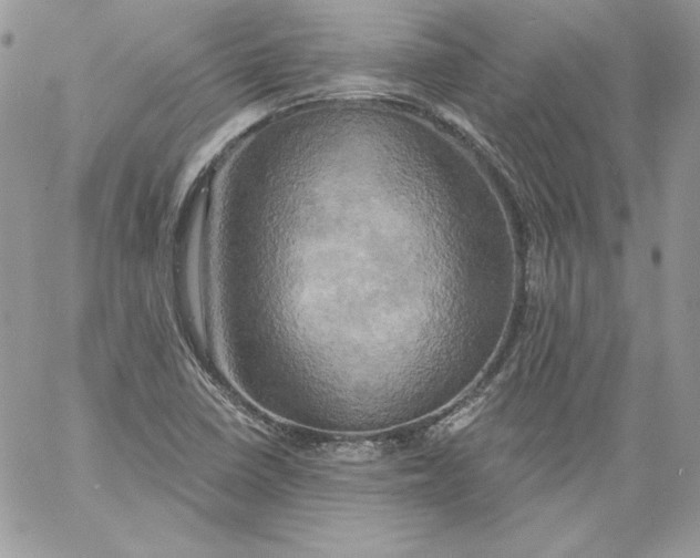 X0000058801410200510211827