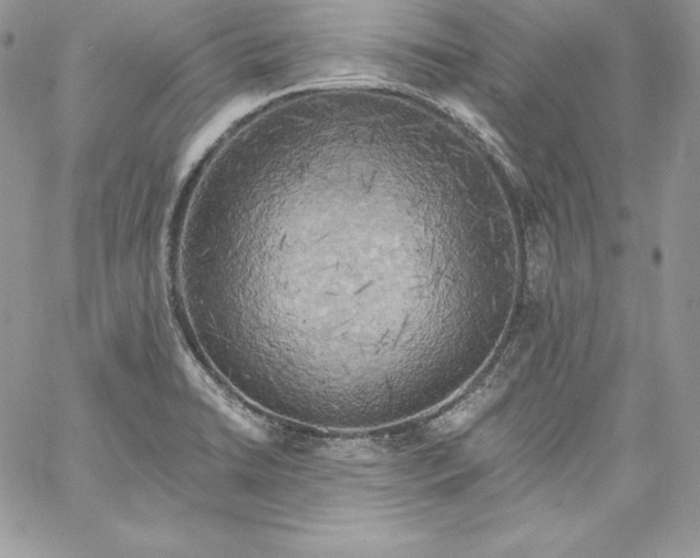 X0000058801422200510211828