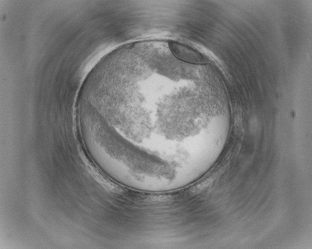 X0000058801423200510211828