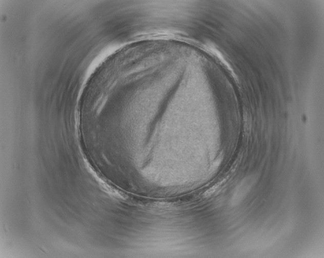 X0000058801424200510211828