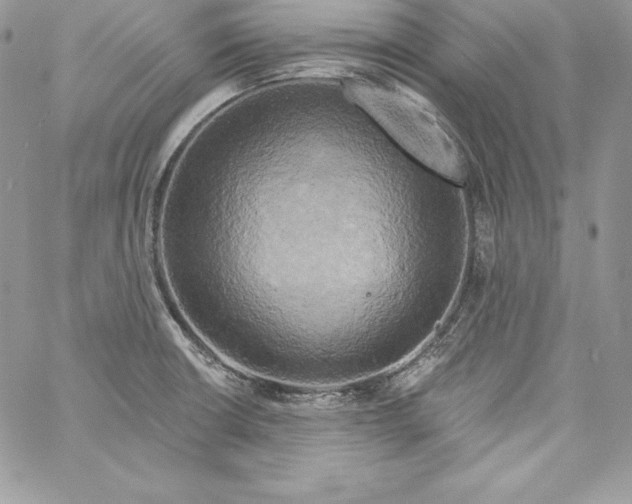 X0000058801426200510211828