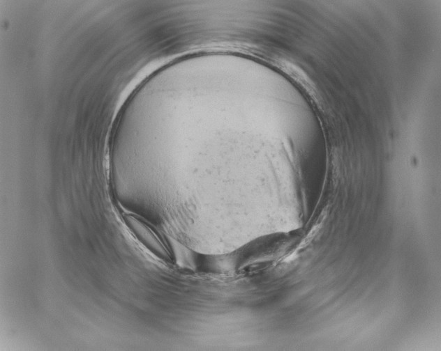 X0000058801428200510211828