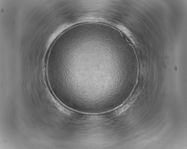 X0000058801430200510211828