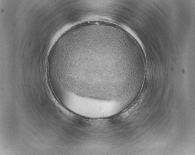 X0000058801437200510211828
