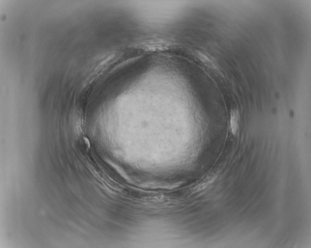 X0000058801444200510211827