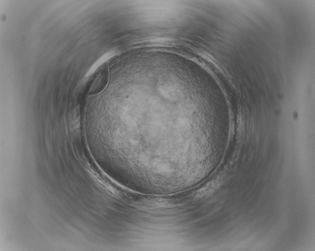 X0000058801450200510211827
