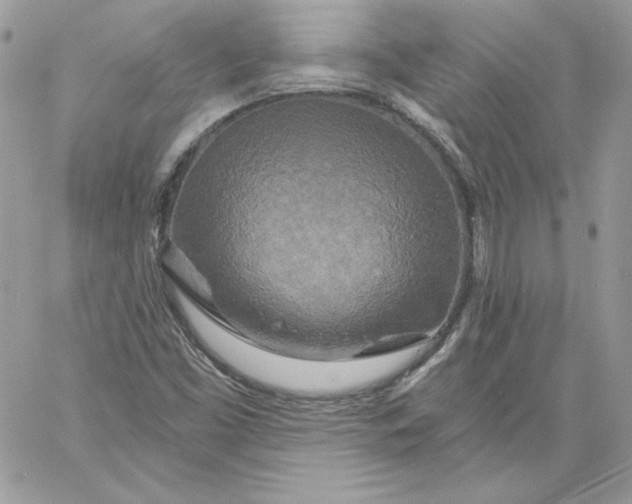 X0000058801453200510211827