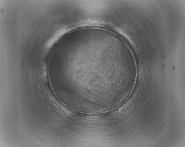 X0000058801455200510211827