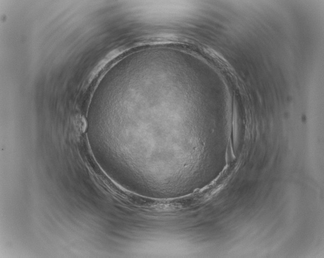 X0000058801457200510211827